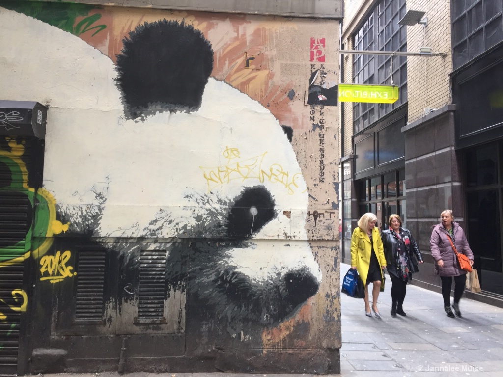 Glasgow Panda - ID: 15721464 © Jannalee Muise