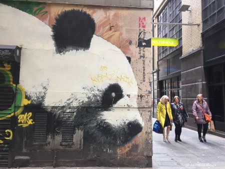 Glasgow Panda
