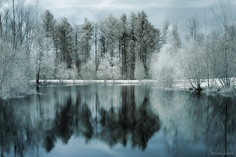 Spring Pond in Infrared