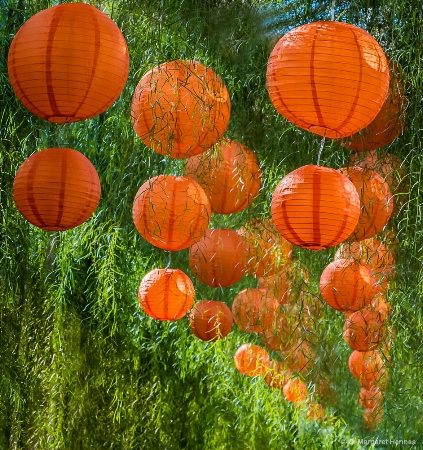 Orange Lanterns