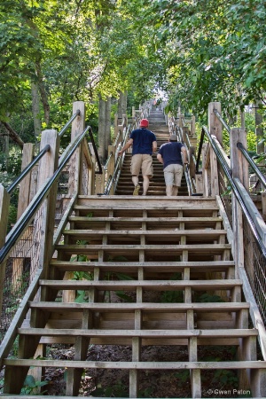 Stairs in Saugatuck