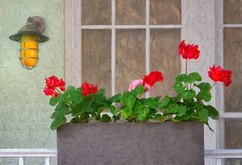 Porch Garden