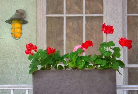 Porch Garden