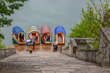 Rainy Day at Lake Bled