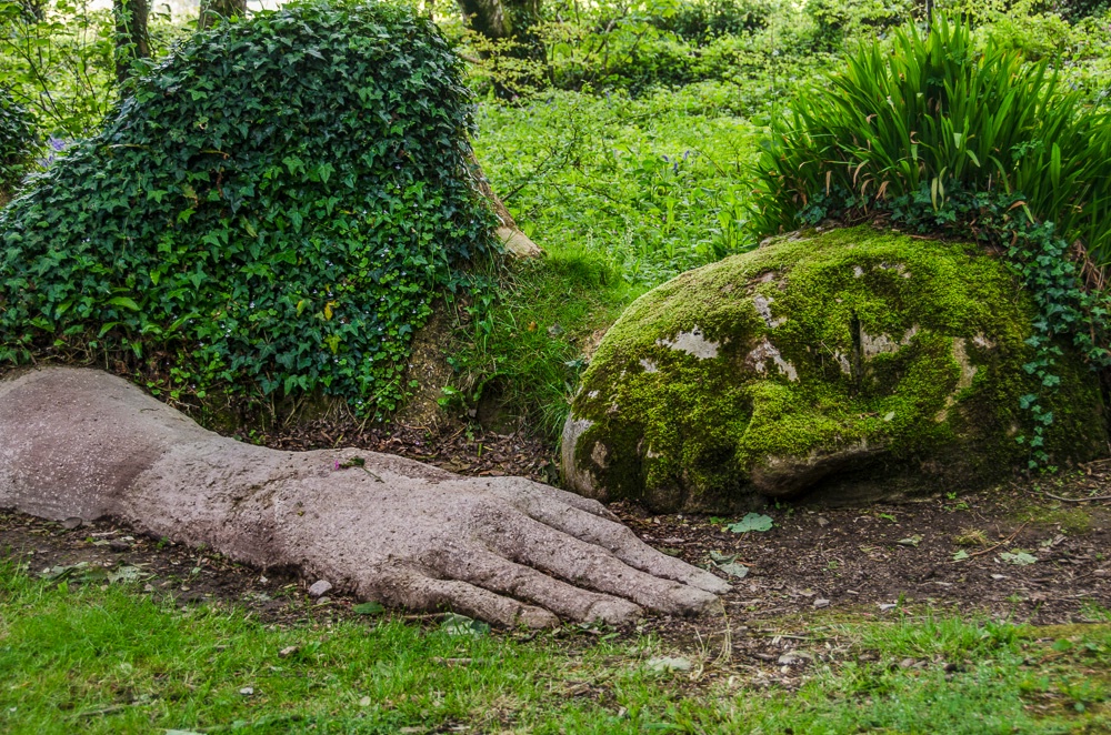 Garden Still Life