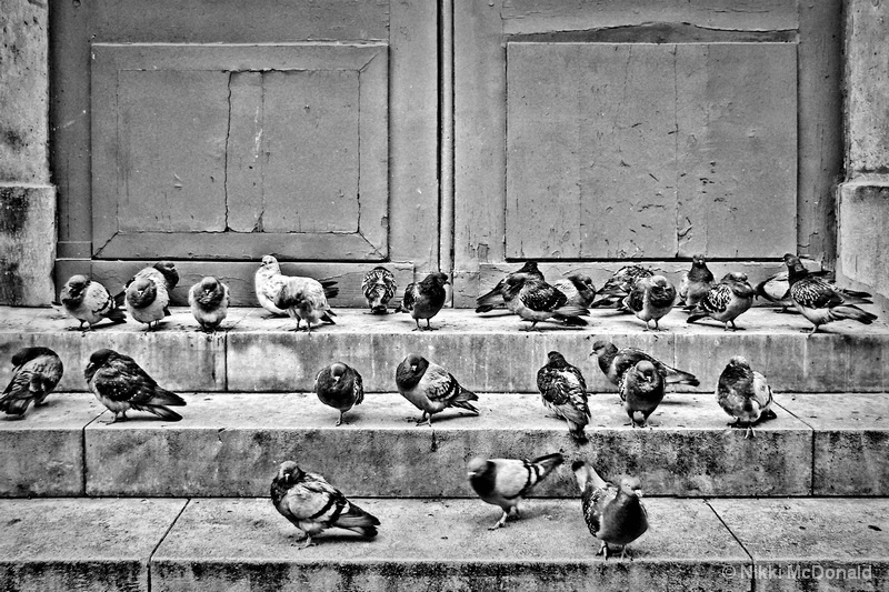 City Steps