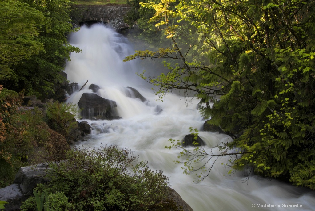 Cottonwood falls 