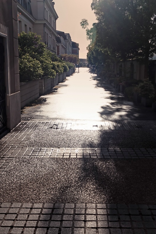 Narrow Alley In Bright Sunlight