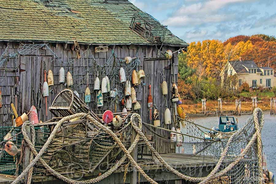 Cape Neddick Lobster Pound