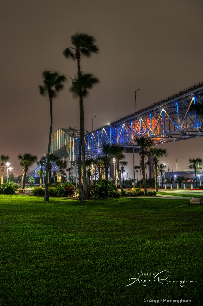 Harbor bridge at night