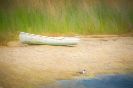 Beached Dinghy