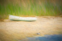 November 2019 Photo Contest 2nd Place Prize Winner