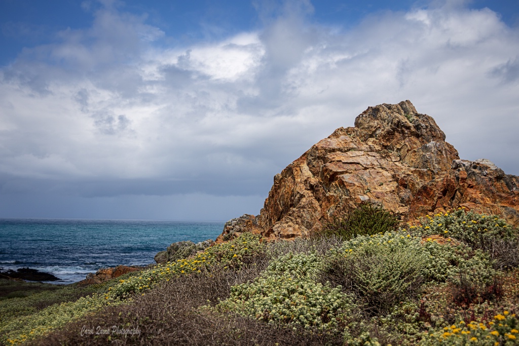 Central California Coastline