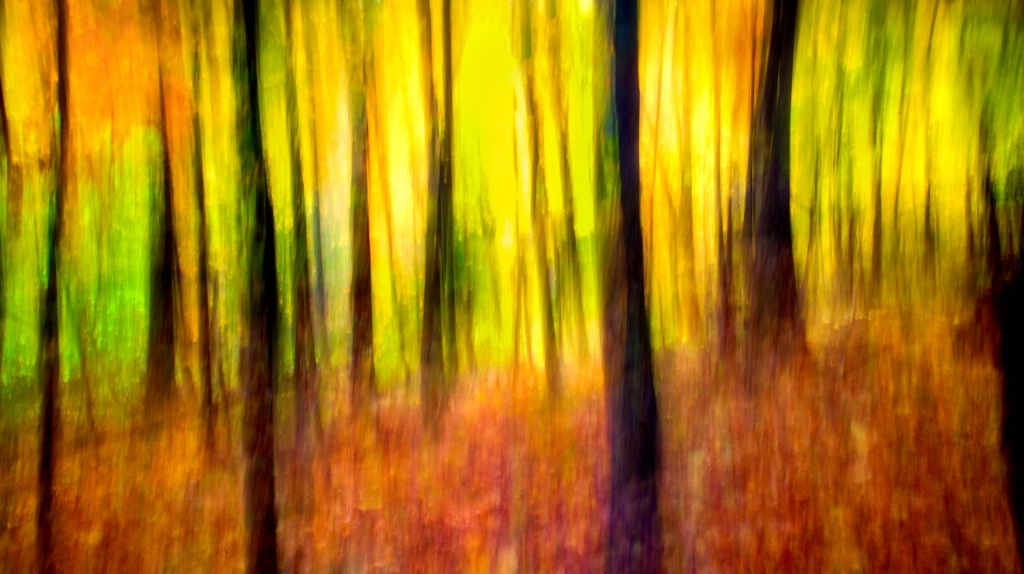 Autumn Blaze Abstract 