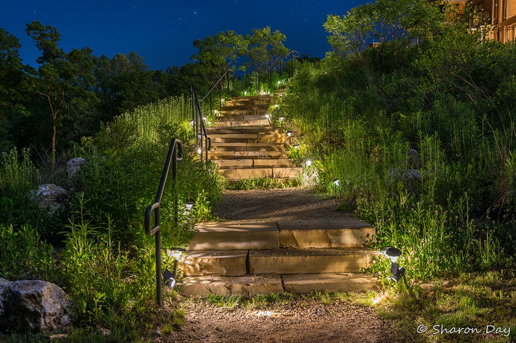 Lodge Steps