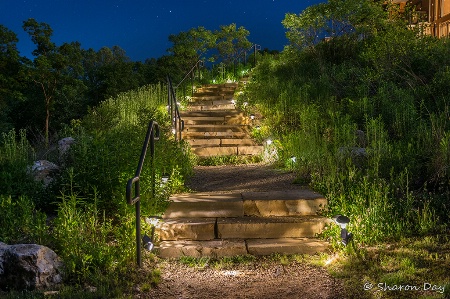 Lodge Steps